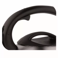 Чайник для плиты из нержавеющей стали C7922024, 3 л