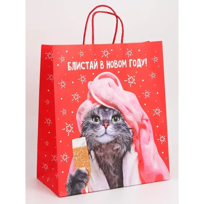 Набор новогодних крафтовых пакетов &laquo;С Новым годом тебя!&raquo;