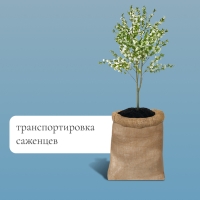 Мешок джутовый, 57 &times; 90 см, плотность 35 &times; 35 нитей, без завязок, Greengo