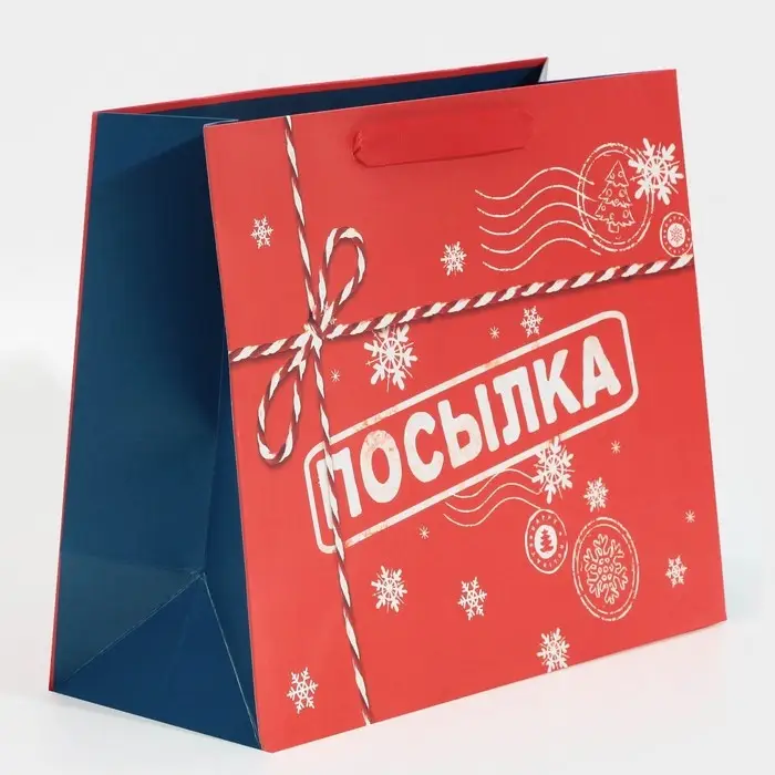 Пакет подарочный новогодний ламинированный &laquo;Посылка для тебя&raquo;, MS 18 х 23 х 10 см