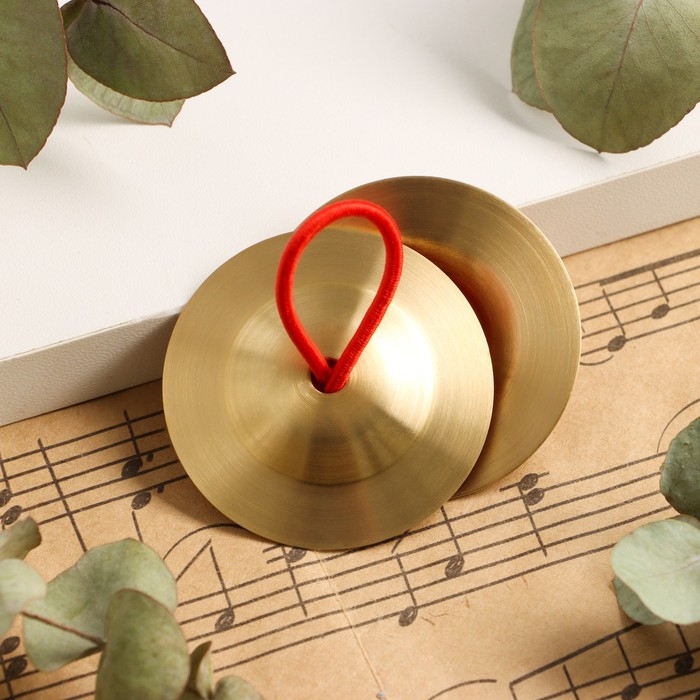 Музыкальный инструмент Тарелки ручные Music Life 5,5 см Музыкальный инструмент Тарелки ручные Music Life 5,5 см