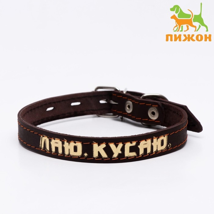 Ошейник кожаный однослойный, тиснёный &laquo;Лаю. Кусаю&raquo;, 48х2, ОШ 32-43 см, коричневый с золотом