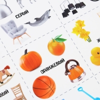 Набор обучающих плакатов &laquo;Изучаем мир&raquo;, 10 в 1, А4