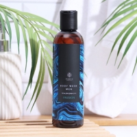 Гель для душа парфюмированный 2 в 1, Passion, Fabrik Cosmetology, 250 мл Гель для душа парфюмированный 2 в 1, Passion, Fabrik Cosmetology, 250 мл