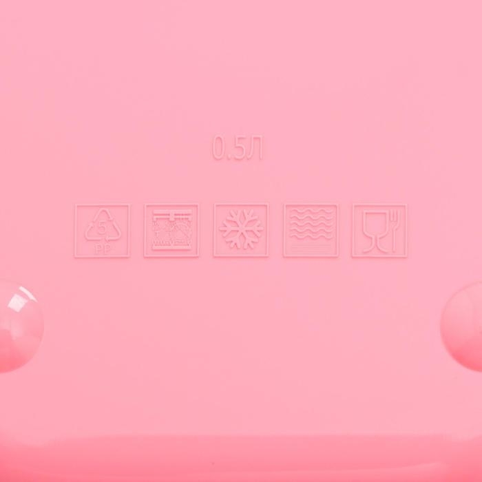 Ланч-бокс прямоугольный, 500 мл, Кошечка Мари Ланч-бокс прямоугольный, 500 мл, Кошечка Мари "Самая милая"