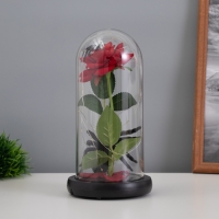 Светильник колба &laquo;Паук с розой&raquo; 1,5Вт, LED, 3xAAA, черный USB 11х11х21см