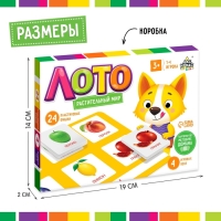 Лото &laquo;Растительный мир&raquo; по методике Г. Домана, 1-4 игрока, 3+