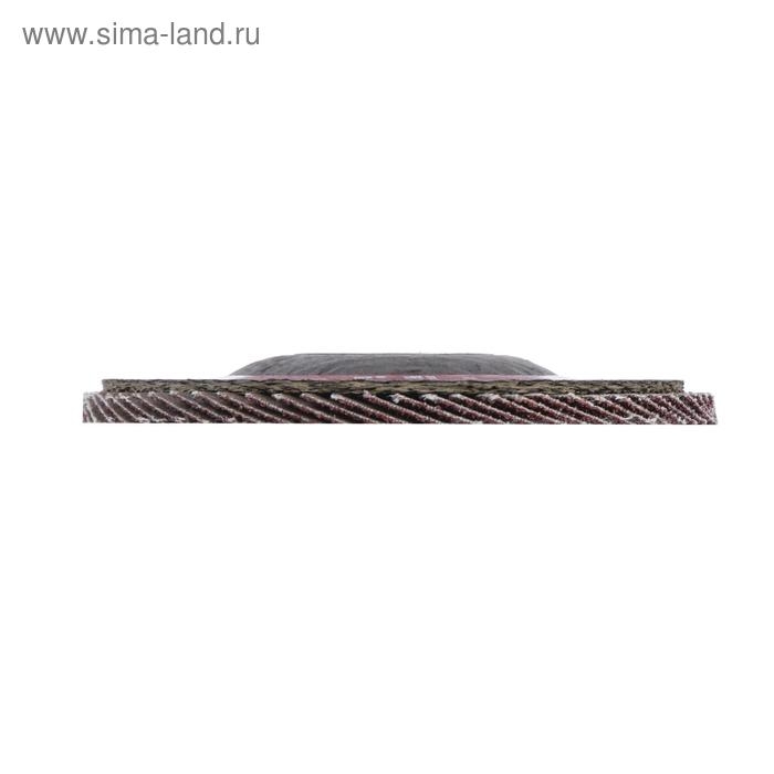 Круг лепестковый торцевой ЛОМ, 115 х 22 мм, Р60