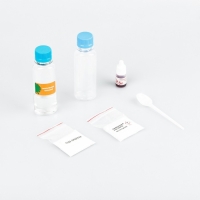 Набор для опытов 4 в 1 &laquo;Сила огня&raquo;