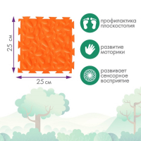 Модульный массажный коврик ОРТОДОН, набор №8 &laquo;Лесная тропинка&raquo;