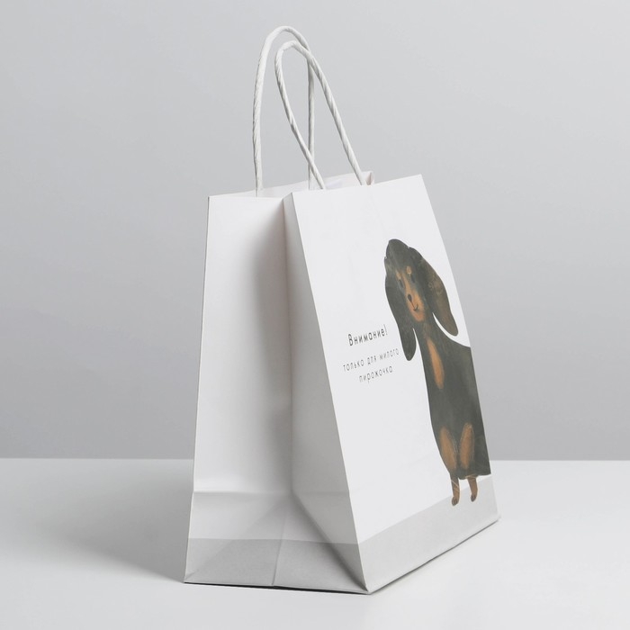 Пакет подарочный, упаковка, &laquo;Пирожочек&raquo;, 22 х 22 х 11 см