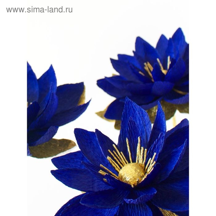 Бумага гофрированная, 955 Бумага гофрированная, 955 "Тёмно-синяя", 0,5 х 2,5 м