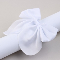 Бант для волос белый школьный «У тебя все получится» на заколке,11 х 13 см Бант для волос белый школьный «У тебя все получится» на заколке,11 х 13 см