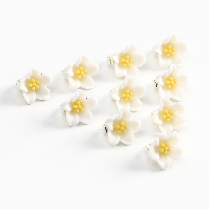 Заколки для волос &laquo;Для самой особенной&raquo;, 10 шт., 1.3 х 1.3 х 1.5 см