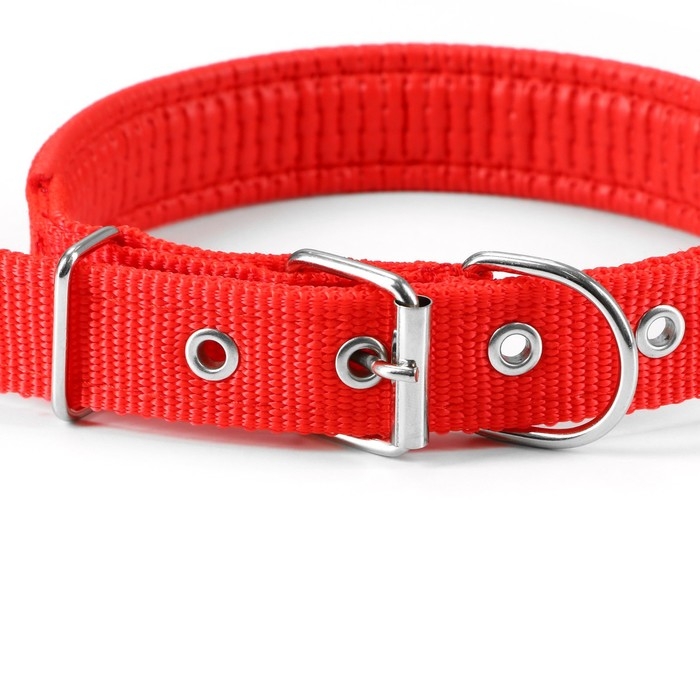 Ошейник "Комфорт" комбинированный, 55 х 2,5 см, ОШ 40-50 см, красный