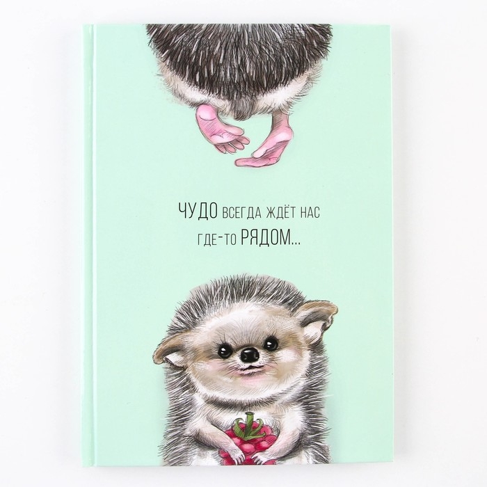 Ежедневник "Чудо рядом", твёрдая обложка, А5, 80 листов