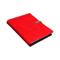 Органайзер на кольцах,ПВХ,А5,140 л, клетка,с ручкой,подар. короб,флешка,зарядка,МИКС