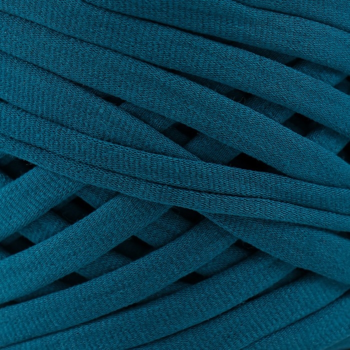 Трикотажная пряжа, ширина 7-9 мм, 100м/295 гр&plusmn;10% (25 - мурена)