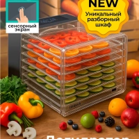 Сушилка для овощей и фруктов, дегидратор T-PFD42149