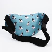 Поясная сумка на молнии, цвет голубой Поясная сумка на молнии, цвет голубой