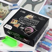 Алмазная мозаика 12 в 1 &laquo;Мемы&raquo;, 14,5 х 14,5 см