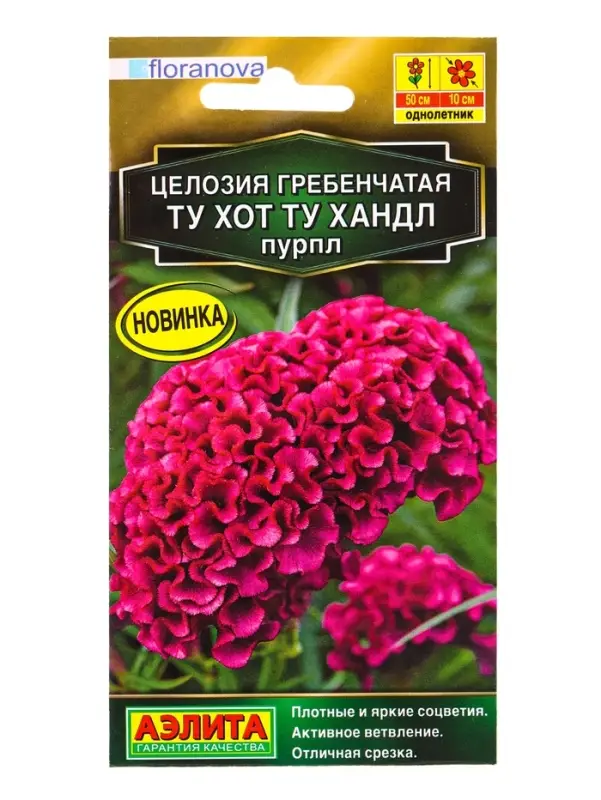 Семена цветов Целозия гребенчатая Ту хот ту хандл пурпл  С. Floranova Золотая серия, Ц/П,5 шт. 10945