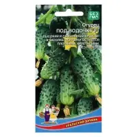 Семена Огурец "Под Водочку" F1 среднеспелый, пчелоопыляемый гибрид, 10 - 12 шт