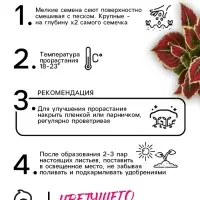 Семена цветов Колеус "Оригинальный", ц/п,  смесь,  0,03  г