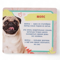 HAPPY VALLEY Игрушка-сюрприз "Домашние питомцы", собаки