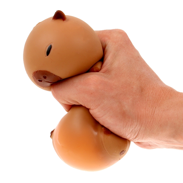 Мялка &laquo;Капибара&raquo; с пастой