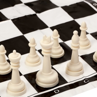 Шахматы 30 х 30 см, король h-5 см, d-2.2 см, фигуры пластик