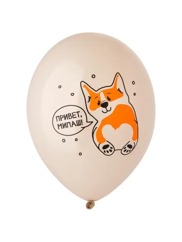 Воздушный шар латексный 14" &laquo;С днём рождения. Корги&raquo;, 50 шт.