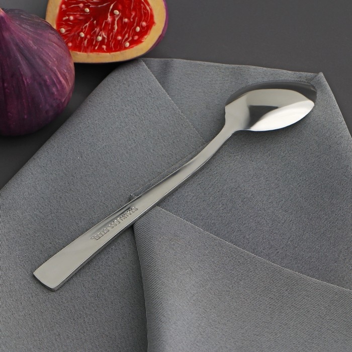 Ложка чайная из нержавеющей стали &laquo;Хоккайдо&raquo;, длина 15 см, толщина 1 мм