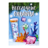 Набор для опытов &laquo;Новогодние опыты&raquo;, в пакете