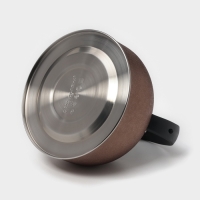 Чайник со свистком из нержавеющей стали Доляна Snow, 3 л, индукция, цвет золотой Чайник со свистком из нержавеющей стали Доляна Snow, 3 л, индукция, цвет золотой