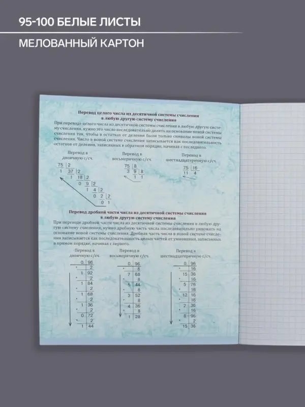 Тетрадь предметная 48 листов в клетку Calligrata, &laquo;Неон. Информатика&raquo;, со справочным материалом, обложка мелованный картон, УФ-лак, блок офсет