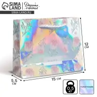 Пакет подарочный голографический, упаковка, &laquo;Happy&raquo;, 15 х 12 х 5.5 см