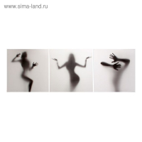 Картина модульная на подрамнике "Силуэт" 3шт-50х50 см; 50*150 см