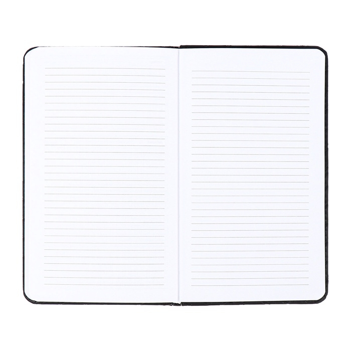 Планинг карманный недатированный, 80 листов, 100х170 мм, deVENTE.Selena, твердая обложка кожзам с поролоном, хлястик, ляссе, блок 70%, черный