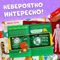 Набор мини-энциклопедий, 6 шт. по 20 стр., 12 &times; 17 см, Ми-Ми-Мишки