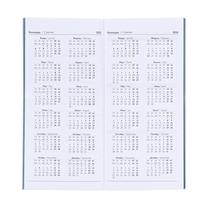 Еженедельник датированный 2025 года, 80х165 мм, 64 листа ESCALADA, мягкая обложка из искусственной кожи, блинтовое тиснение, блок 70 г/м&sup2;, голубой
