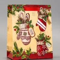 Пакет подарочный ламинированный "Новогоднее настроение" 18 х 23 х 10 см