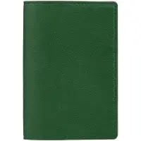 Набор Petrus Mini, зеленый