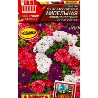 Семена цветов Вербена Ампельная обильноцветущая, смесь сортов  Цветущий балкон, Ц/П,30 шт.