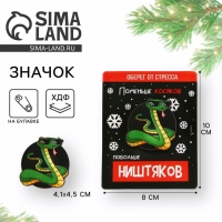 Значок новогодний &laquo;Новый год: Талисман от стресса&raquo;, 4,1 х 4,5 см