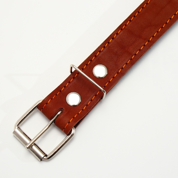 Ошейник кожаный на фетре украшеный, 65 х 3,5 см, ОШ 50-60 см, коричневый Ошейник кожаный на фетре украшеный, 65 х 3,5 см, ОШ 50-60 см, коричневый