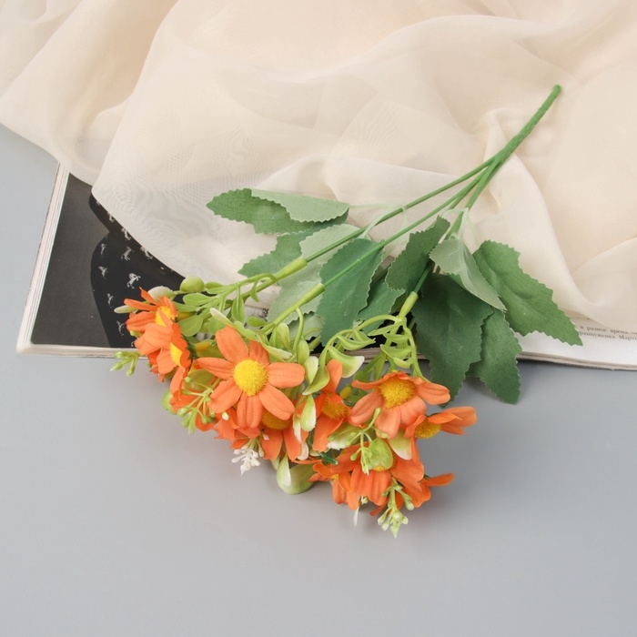 Букет Букет "Ромашка пиретрум" 29 см, микс