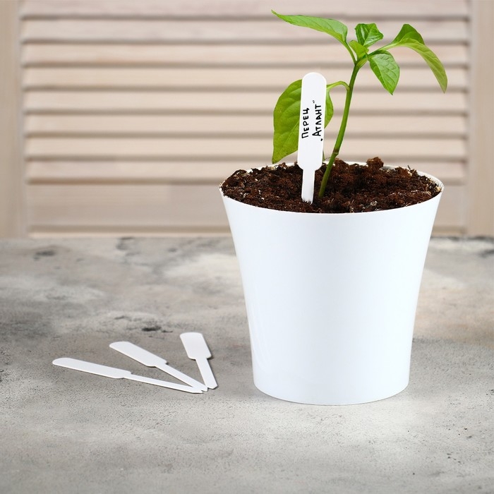 Таблички садовые для маркировки, 12 см, набор 20 шт., пластик, белые, Greengo