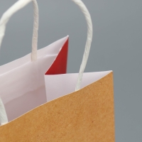 Упаковка, пакет подарочный крафтовый, &laquo;Суетолог&raquo;, 12 х 21 х 9 см