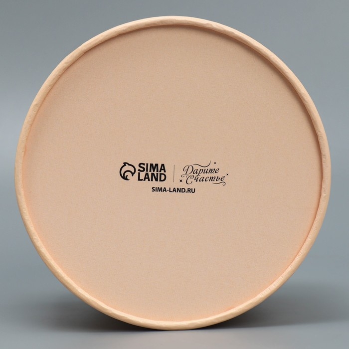 Коробка подарочная, упаковка, «Бежевый», 13 х 9 см Коробка подарочная, упаковка, «Бежевый», 13 х 9 см